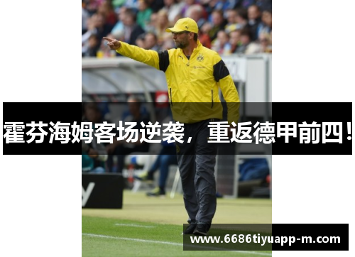 霍芬海姆客场逆袭，重返德甲前四！