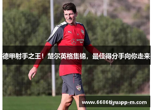 德甲射手之王！楚尔英格集锦，最佳得分手向你走来