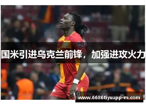 国米引进乌克兰前锋，加强进攻火力